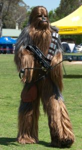 558791_115844141908619_1253308398_n